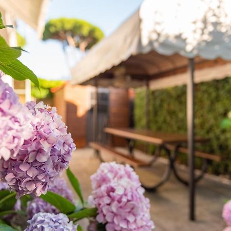 Apartment Holiday Versilia Camaiore Eksteriør billede